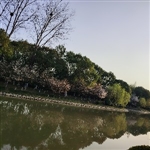 小王